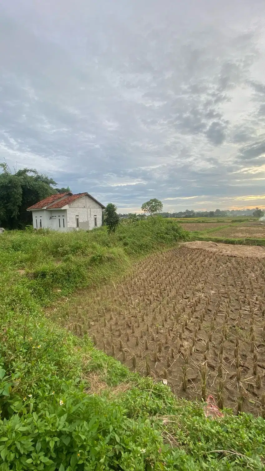 TANAH PADAT SAWAH LEGOK DEKAT BSD