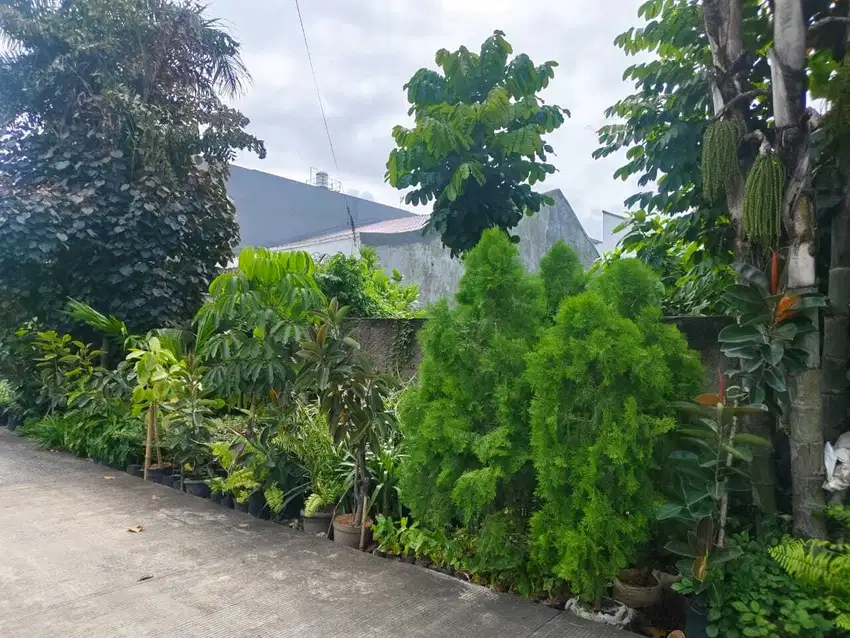 Dijual tanah dimeruya utara jakbar