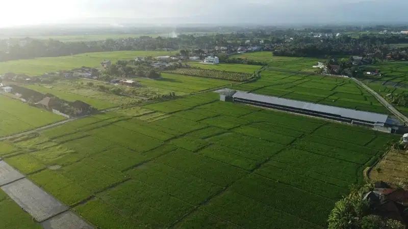 Tanah View Sawah & Gunung Pantai Kedungu Kediri Tabanan Bali