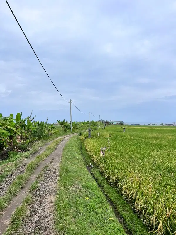 Jual tanah kavling 250 meter ke pantai
