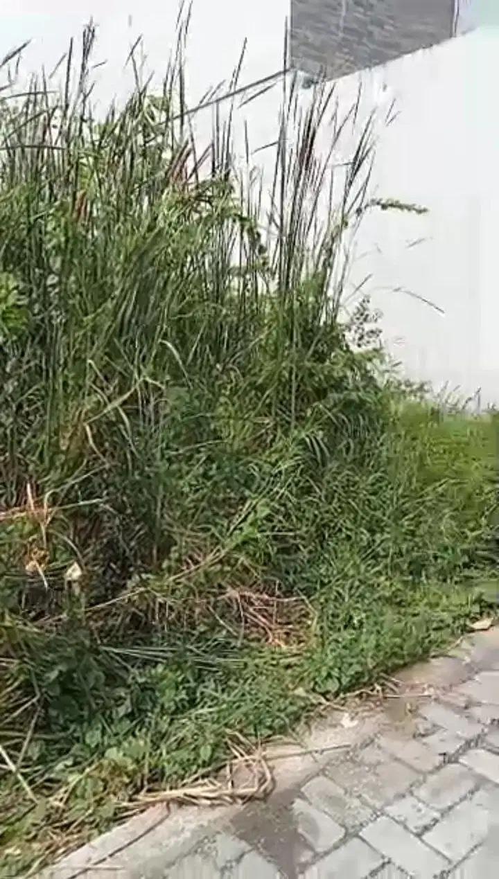 ‼️JUAL CEPAT‼️TANAH SIAP BANGUN DI PONDOK BENOWO INDAH PAKAL SBY BARAT