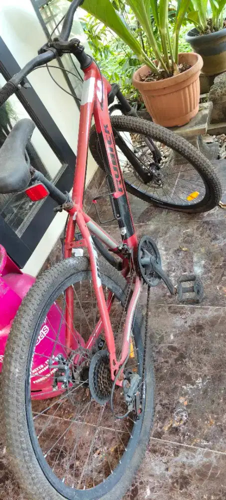 Sepeda dewasa bekas