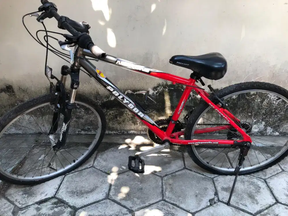 Polygon Neptune 2010