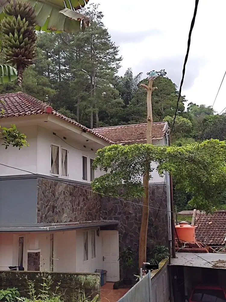 RUMAH RASA VILLA DI DAGO ATAS