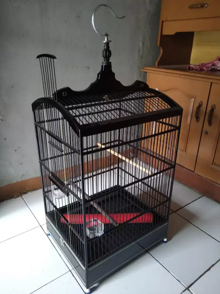 Sangkar Burung Kotak