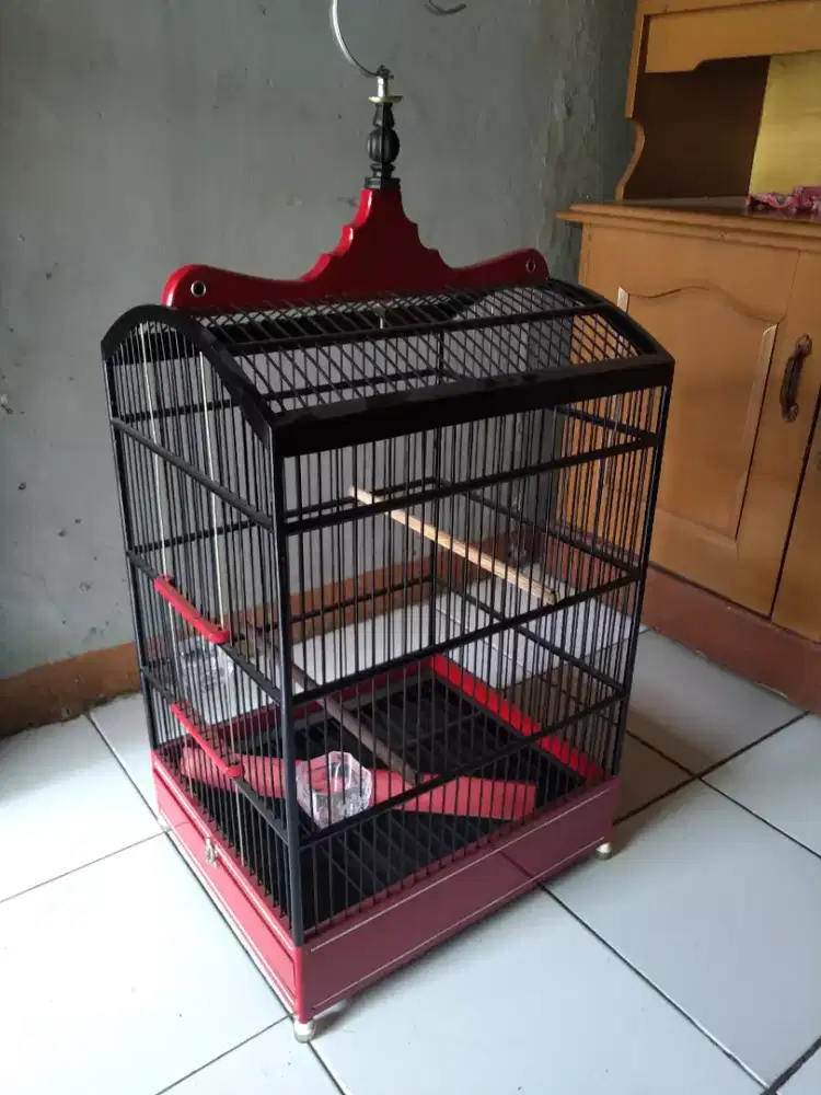 Sangkar Burung Kotak