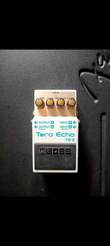TERA ECHO BOSS Te 2