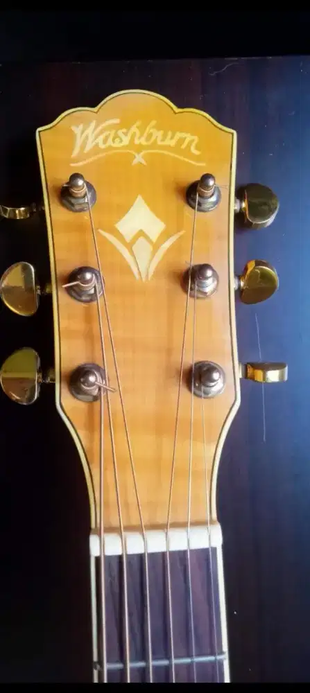 Acoustic Wasburn + Hardcase
