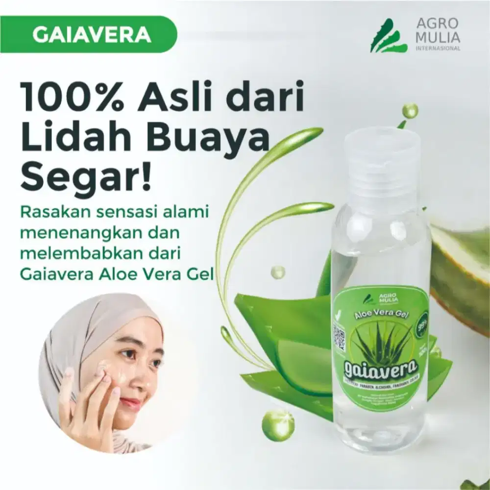 Aloe Vera Gel Lidah Buaya 100% Asli Pelepah Lidah Buaya Segar nett 90g