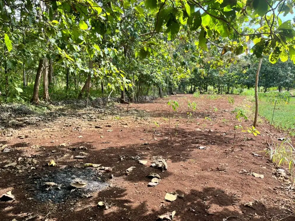 Tanah Semanu Wonosari Gunung Kidul