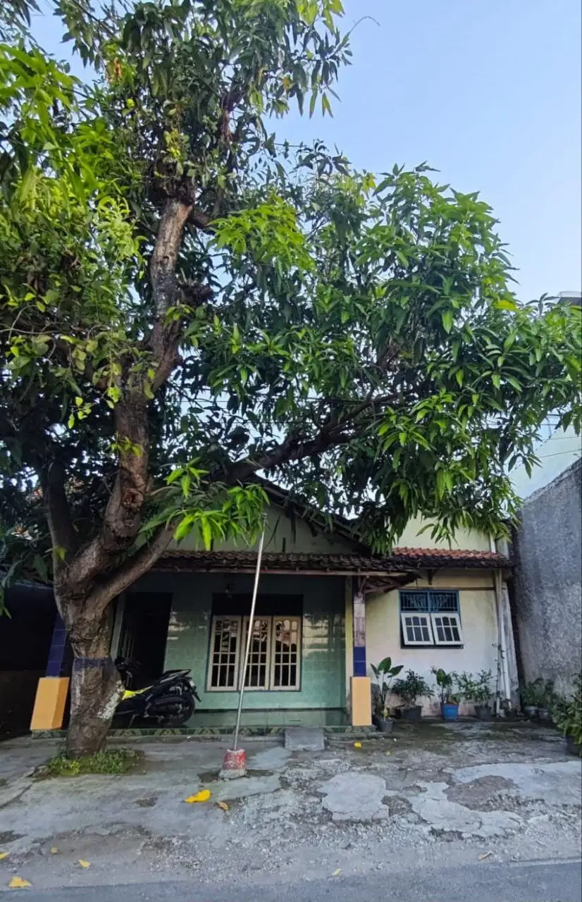 Rumah Lama Nyaman Luas Dan Murah 229m² di Pucangan Kartosuro
