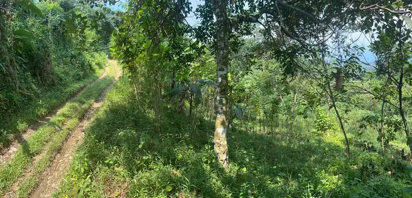 Tanah 6134 m² Harga Terjangkau di Bogor – Cocok untuk Usaha & Gudang