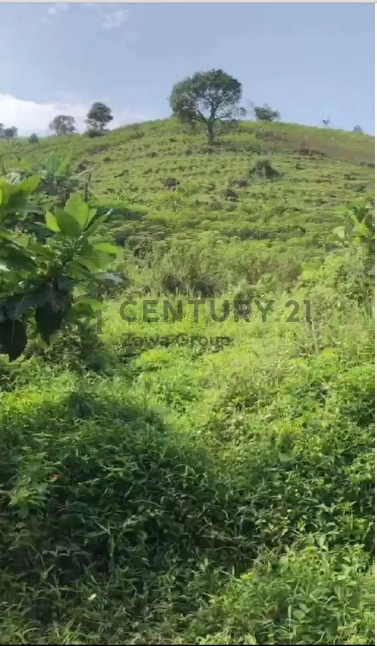 Dijual Tanah Di Sentul Hambalang Bogor