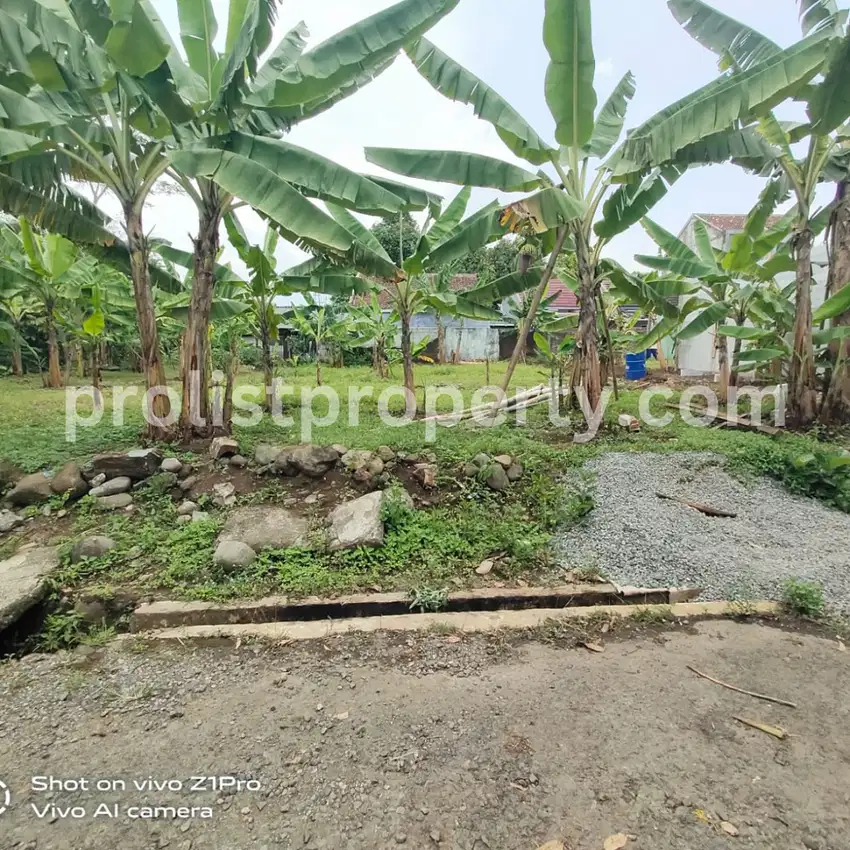Tanah Kavling Murah Dekat SMA 3 Purwokerto