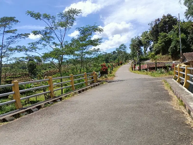 Tanah pinggir sungai dikarangpandan