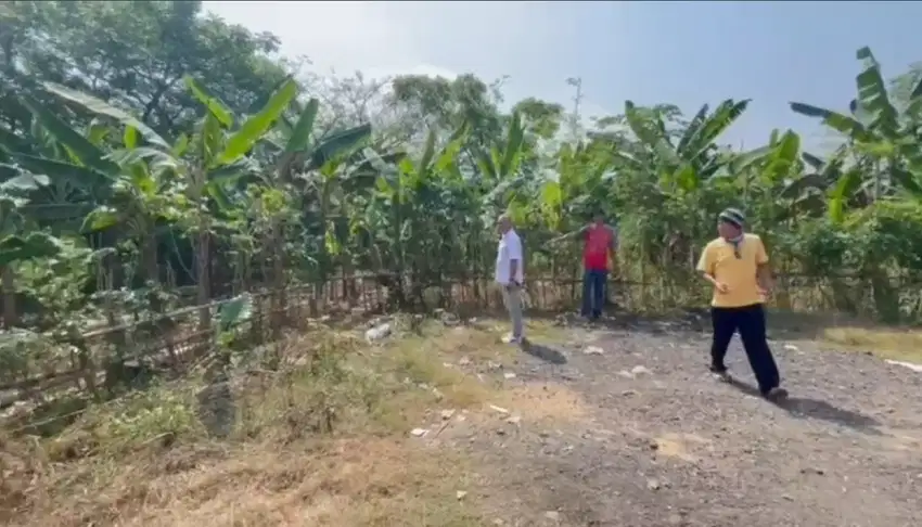 Disewakan Tanah di JL Raya curug mekarjaya Rancakebo - Tangerang