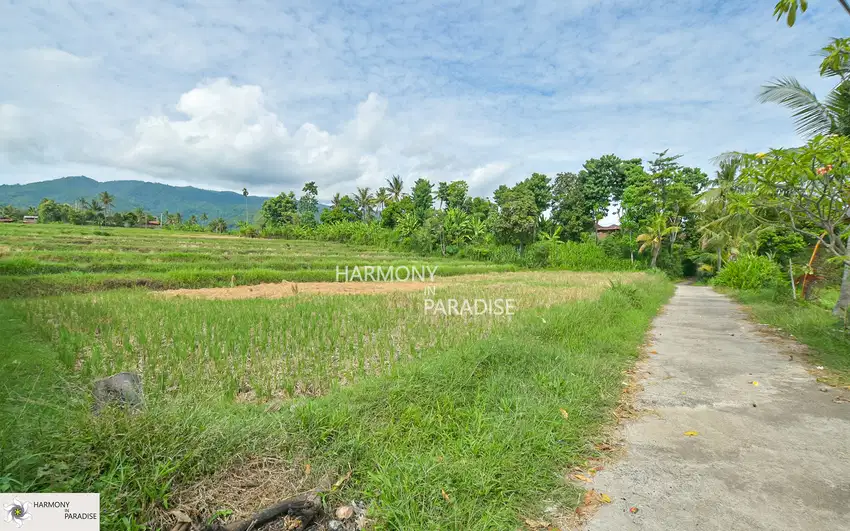 HP-NBL04 Tanah Sawah SHM, Dijual di Panji, Buleleng