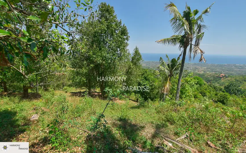 HP-NBL08 Tanah Lereng bukit 5000m2,SHM,di kayuputih-lovina
