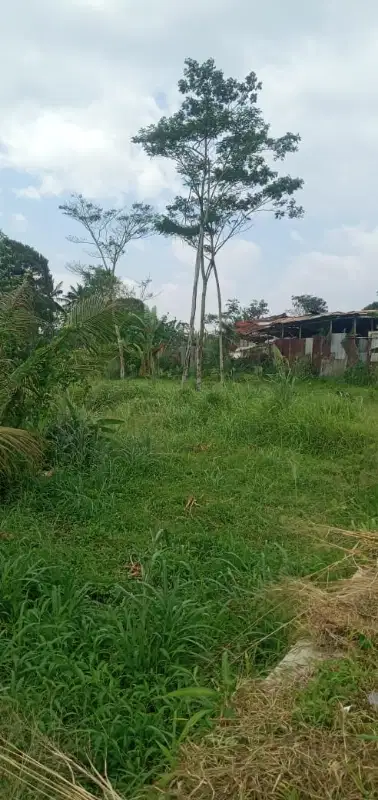 di jual tanah darat subur di dekat Lido cigombong