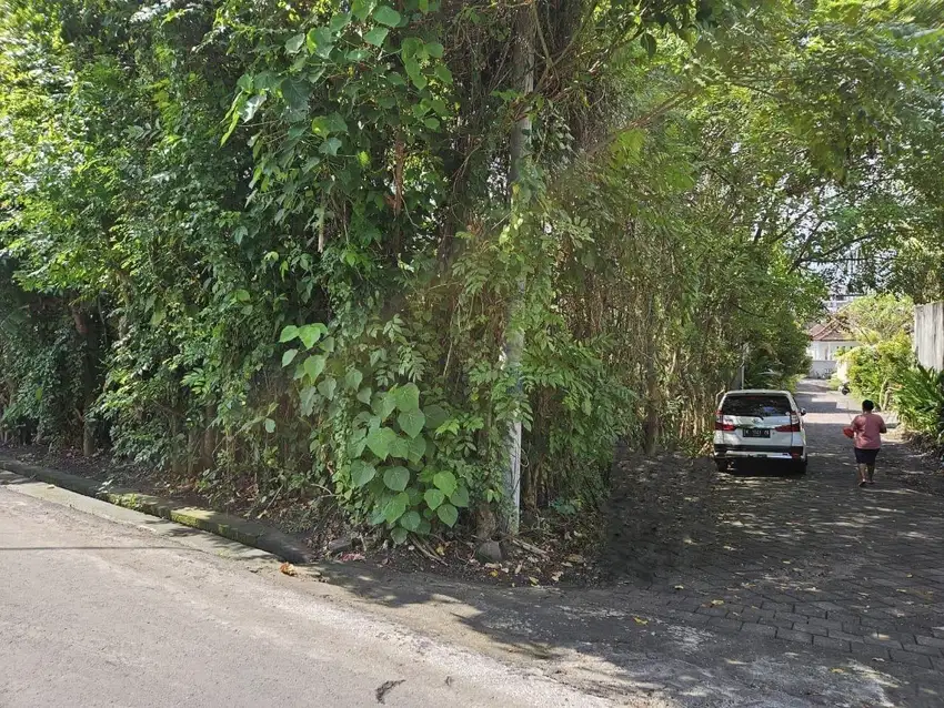 Tanah jantuk angsa pererenan canggu