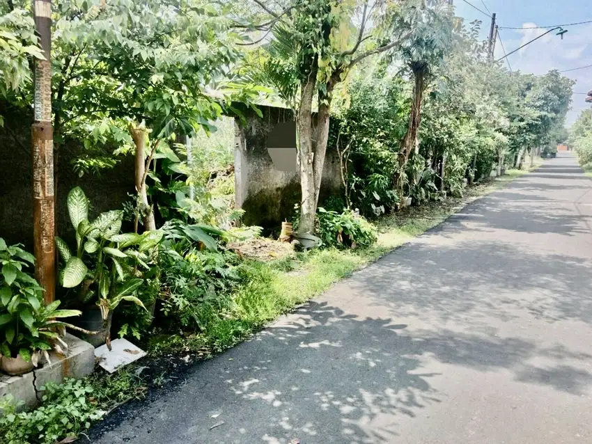 Tanah Pekarangan Strategis Dekat Kampus UMS Solo