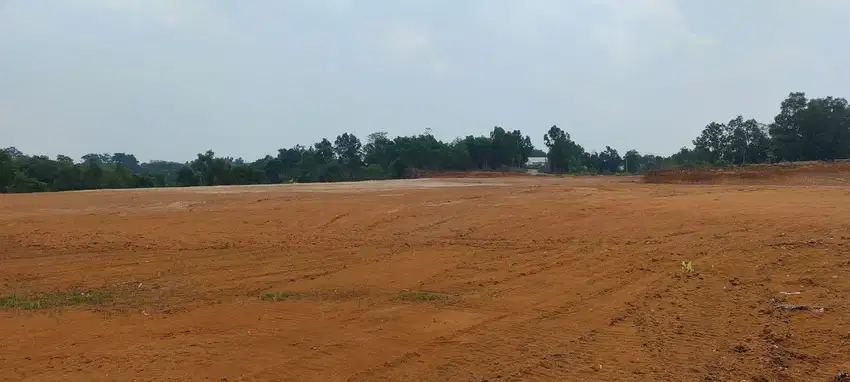 Tanah Kavling Komersial dan Industri di Mekarsari Citeras Lebak Banten
