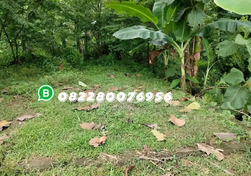 TANAH PEKARANGAN DESA PUCANGANOM KEBONSARI MADIUN