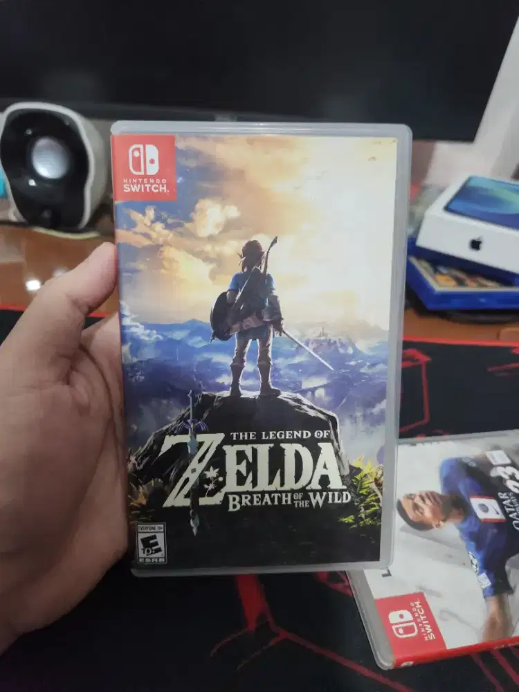 Zelda Breath of the wild switch