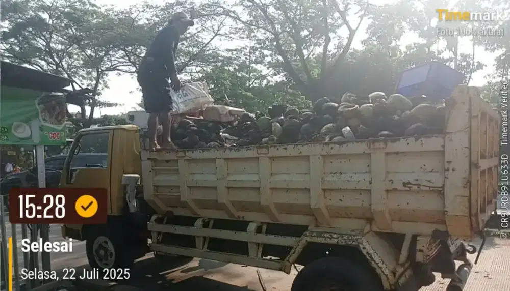 Jasa buang puing murah sampah kayu dan jual urugan