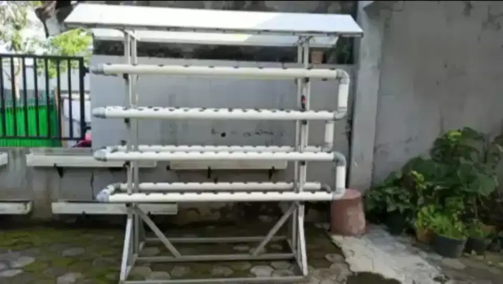 Hidroponik Murah