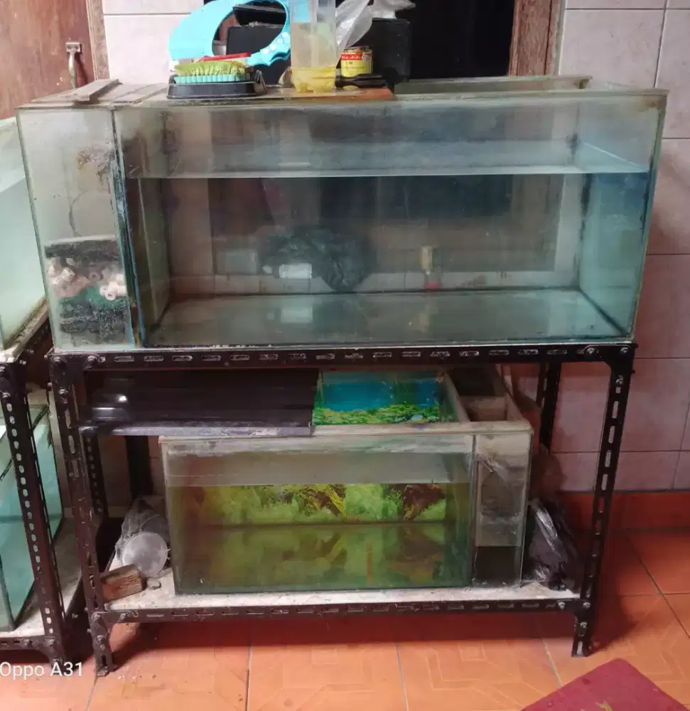 Dua aquarium berikut rak