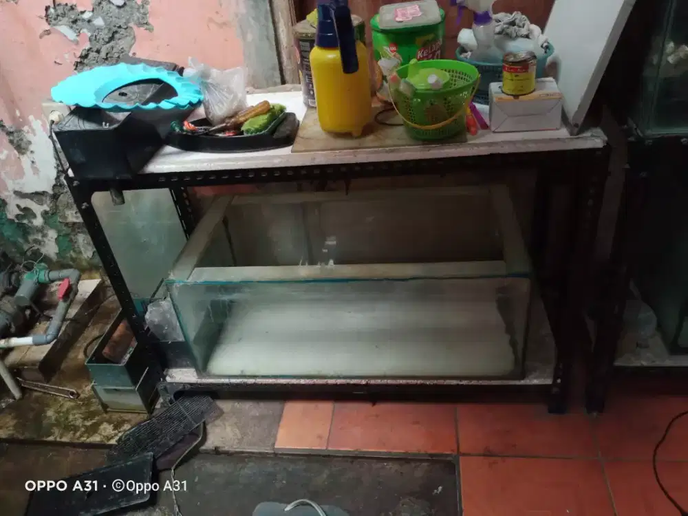Aquarium berikut rak