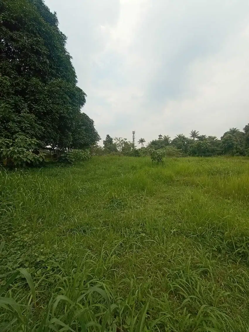 Jual tanah di tepi jalan raya utama di Ciangsana gunung putri Bogor