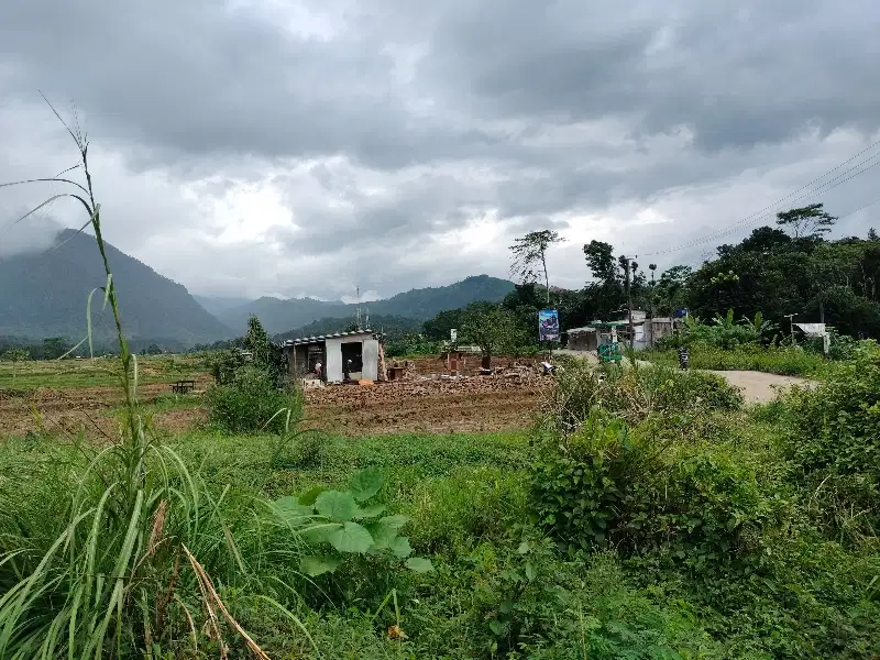 Tanah di lokasi alam. pegunungan di Bogor