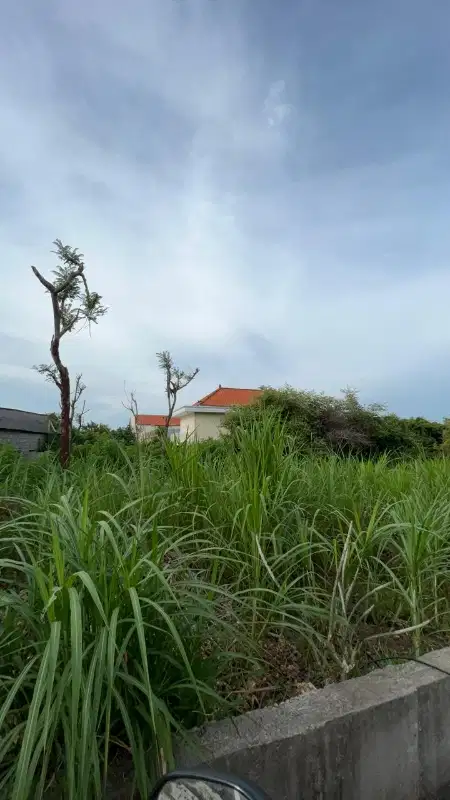 Dijual tanah kavling nempel udayana