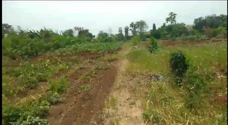 Tanah Strategis Dibawah Harga Pasar Zona Industri