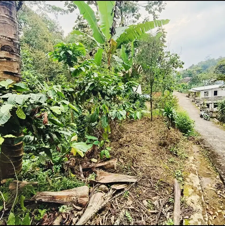Tanah pekarangan murah kemuning ngargoyoso karanganyar