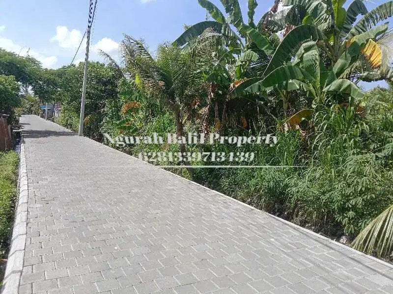 Disewakan Tanah Murah Luas 450 m2 Kawasan Villa di Ubud