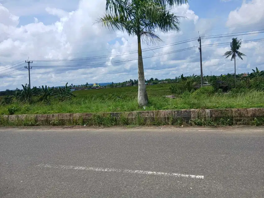 Jual Tanah di Kab.Sorong Jln.Kontene, Luas 1,5 Hektar