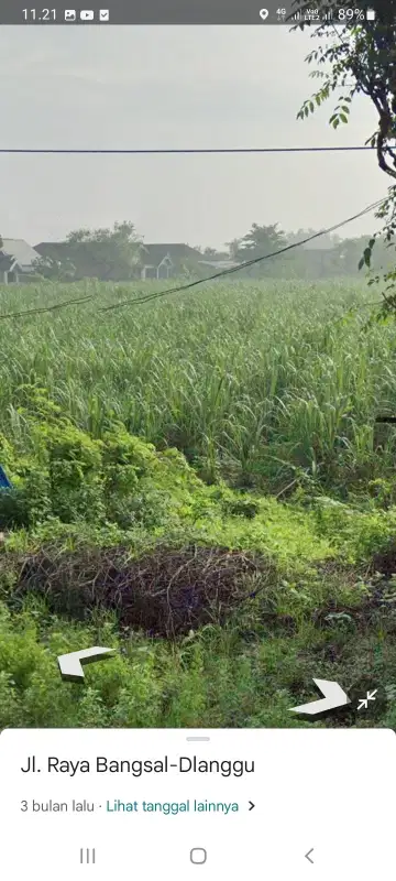 Lahan luas 4,5 HA harga 400 ribu permeter di Bangsal, Mojokerto