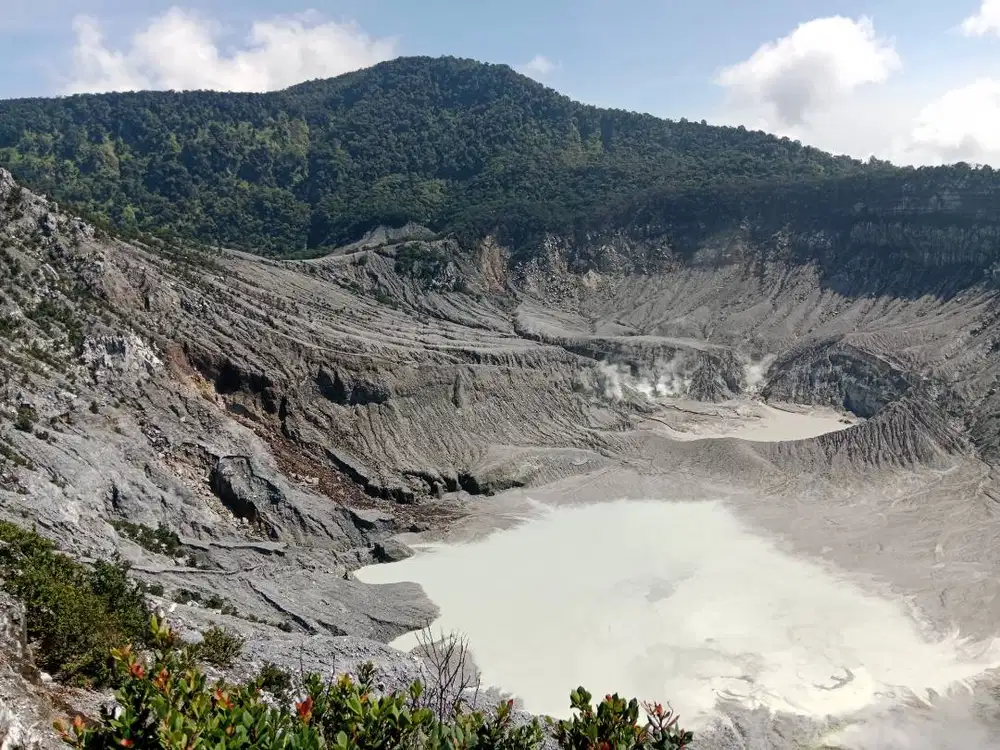 Buka Jasa Les & Privat