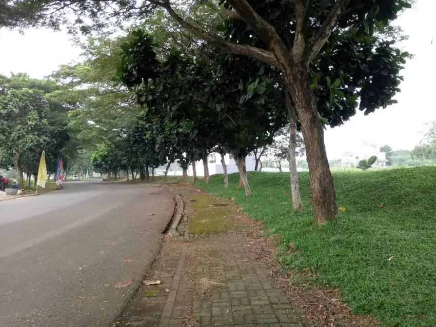 Sale Cepat Harga Termurah Kavling, Area Suvarna Sutera