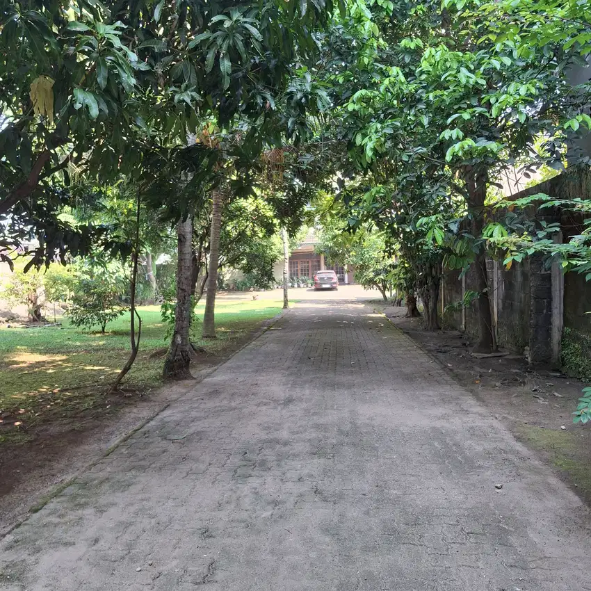 Dijual Tanah Luas Bisa Dibuat Lapangan Padel