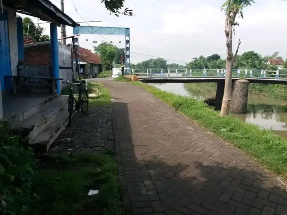 TERMURAH LANGKA JARANG ADA JUAL LAHAN TANAH TAMBAK LUAS DI PASURUAN