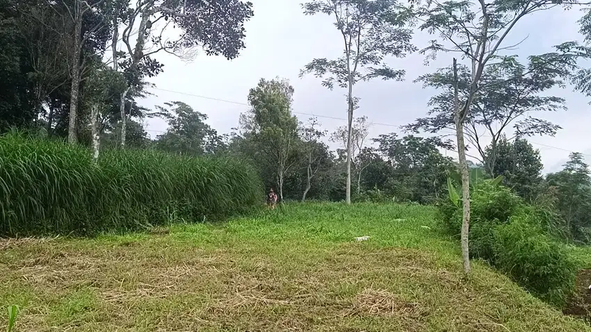 Dijual Tanah 800m2