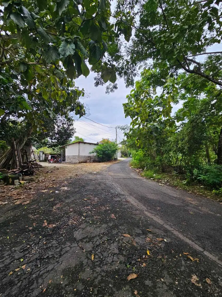 Tanah MURAH Jl Gunung Payung Pantai Pandawa