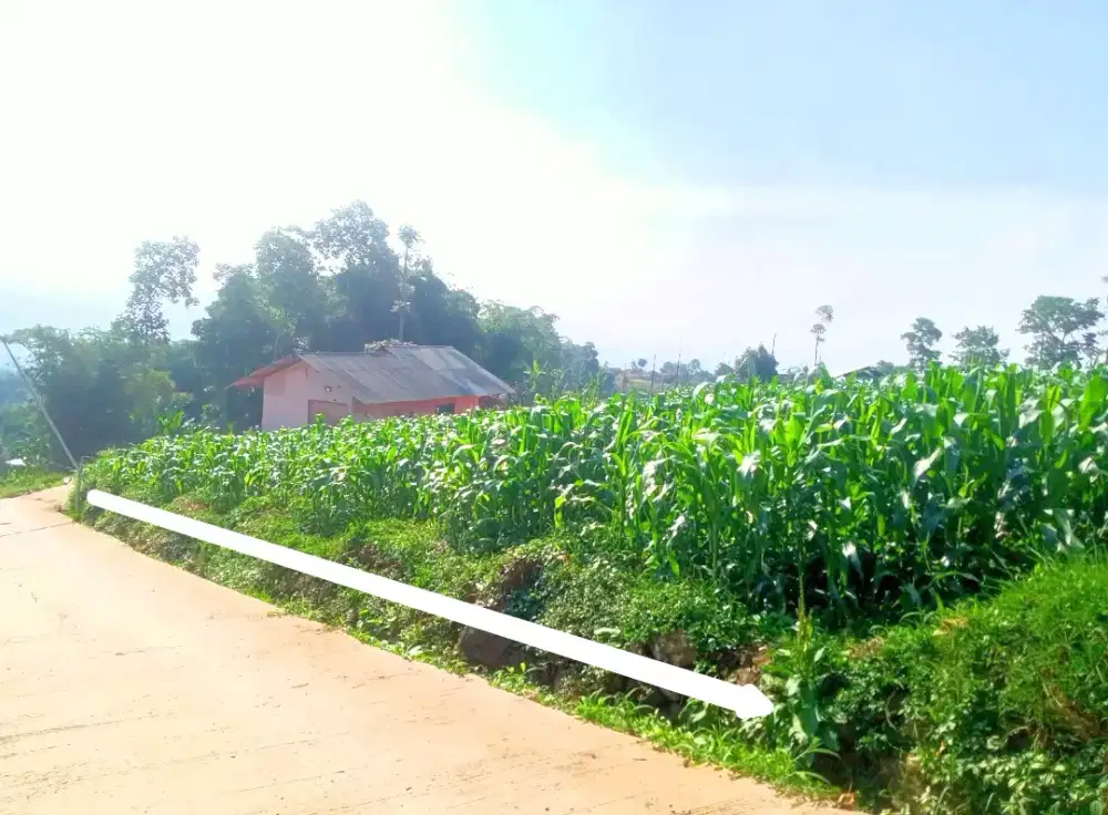 Jual Tanah Murah Pinggir jalan desa Area Puntang Cimaung