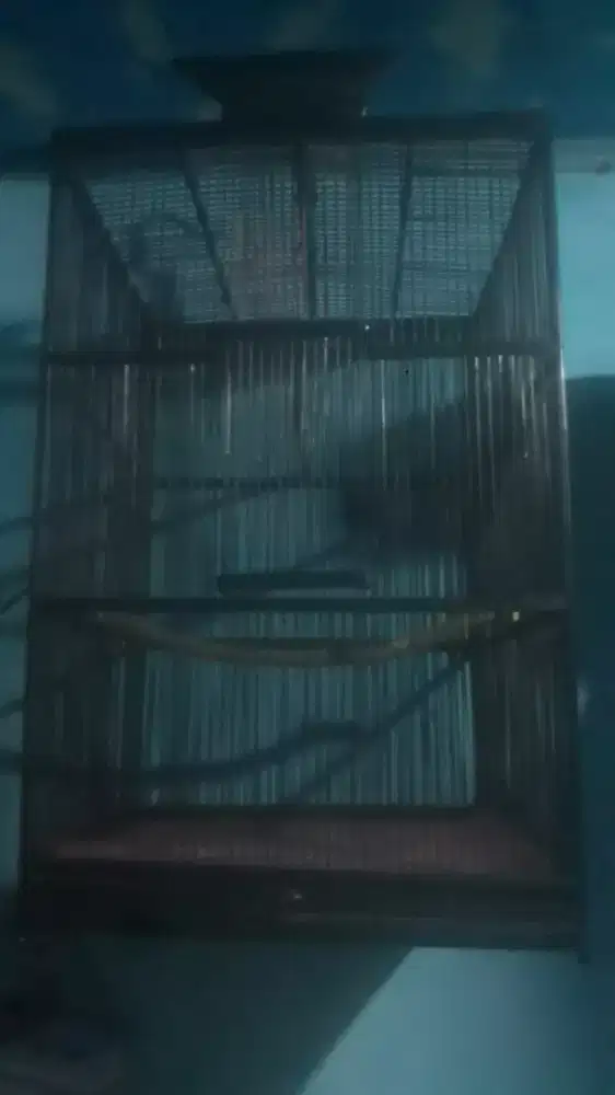 Jual kandang burung bikinan sendiri