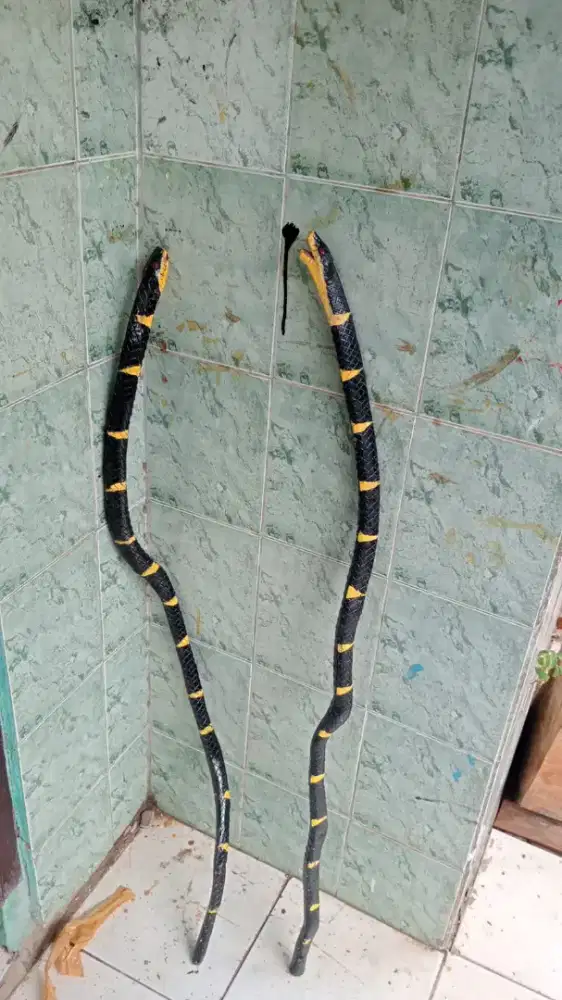 Tongkat iteuk karakter