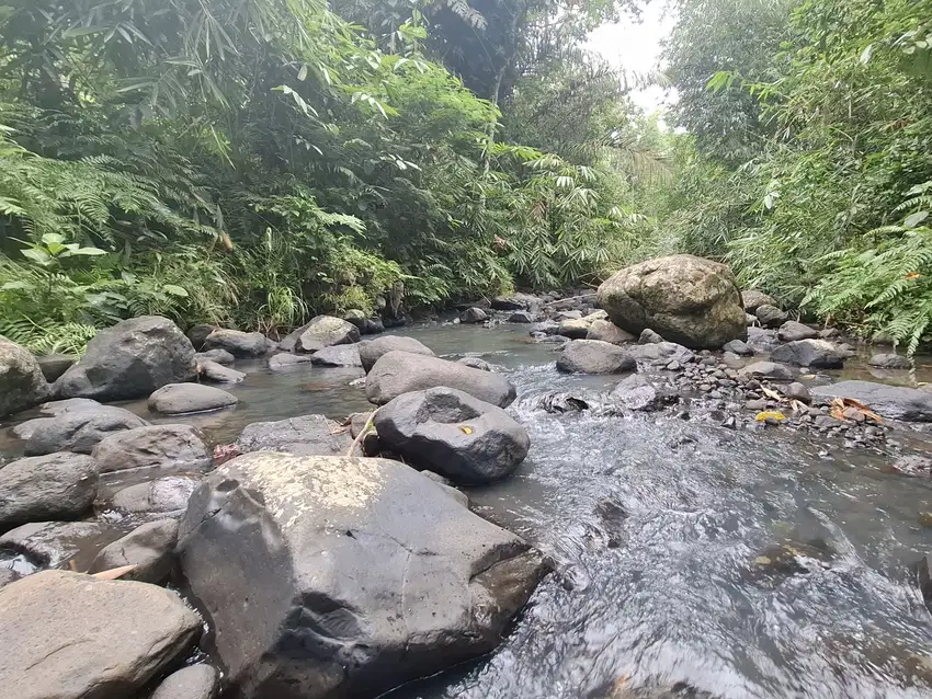 Dijual tanah los sungai jernih dan berbatu di selemadeg tabanan